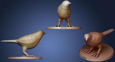 3D model Warbler (STL)